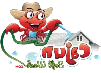 Cajun Soft Wash house roof cleaning logo